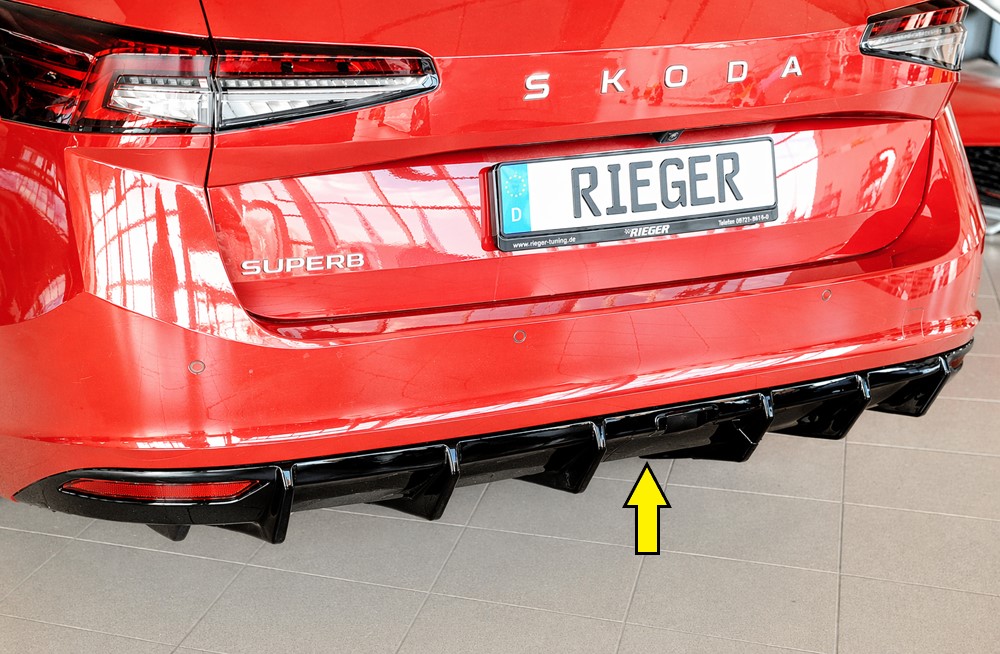 Rieger Heckeinsatz